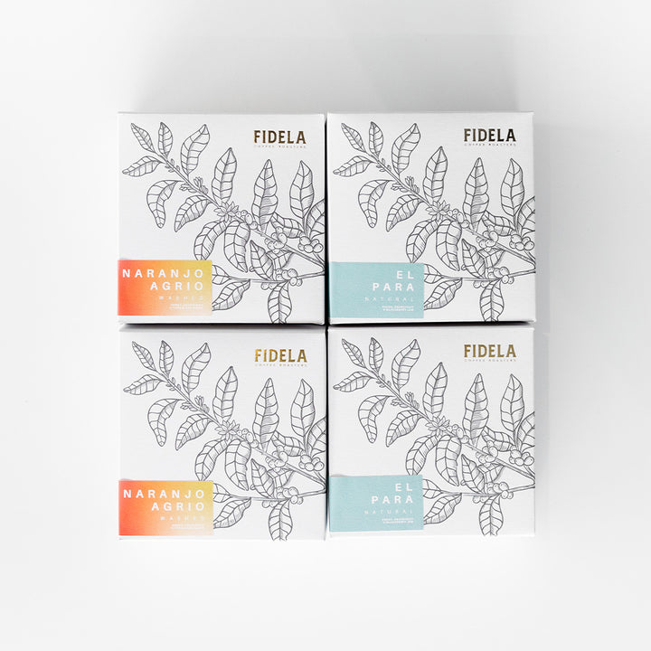 Fidela Explore Coffee Subscription