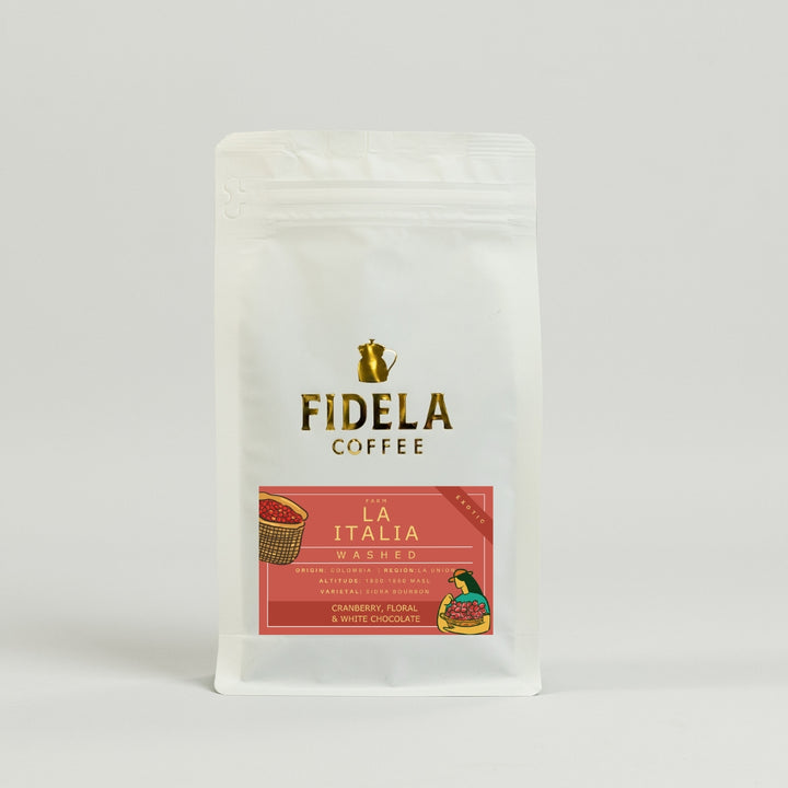 Fidela Explore