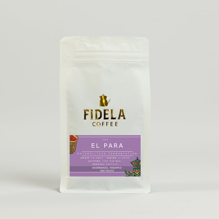 Fidela Explore