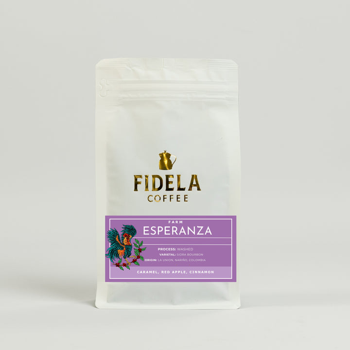 Fidela Explore