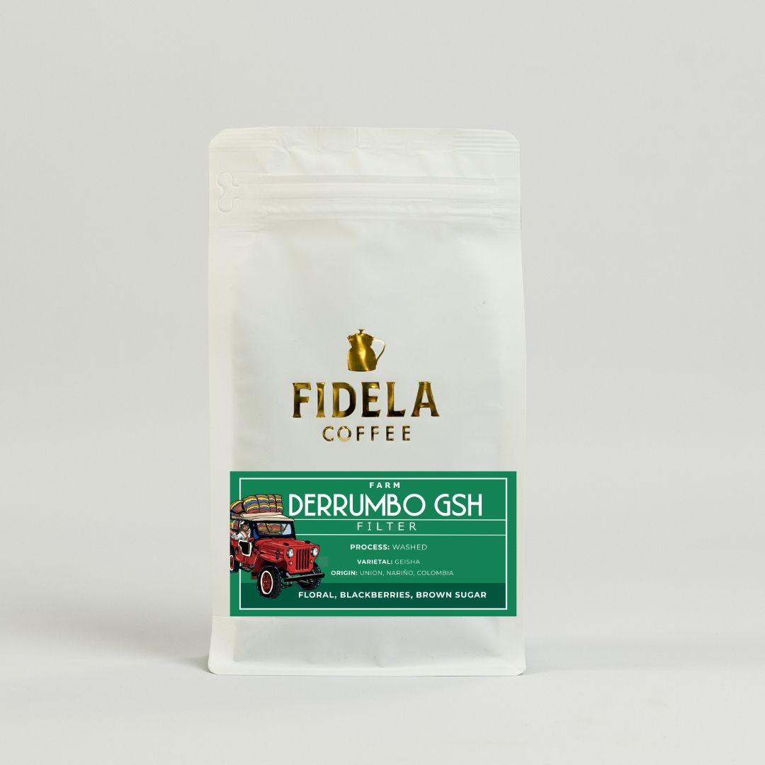 Derrumbo Geisha