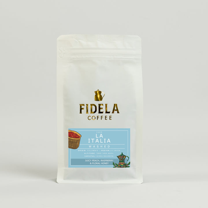 Fidela Explore