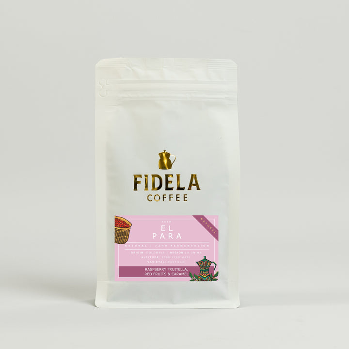 Fidela Explore