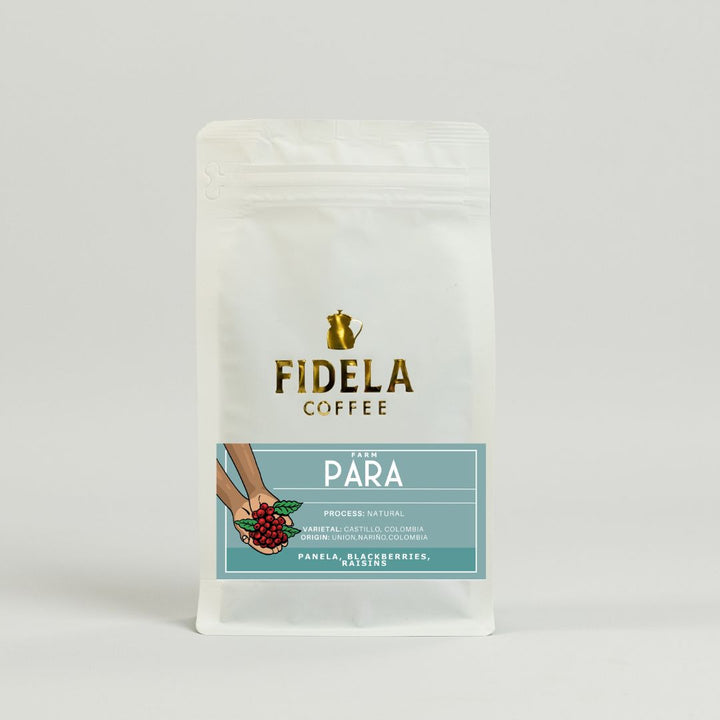 Fidela Explore