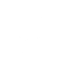 Fidela Coffee Roasters