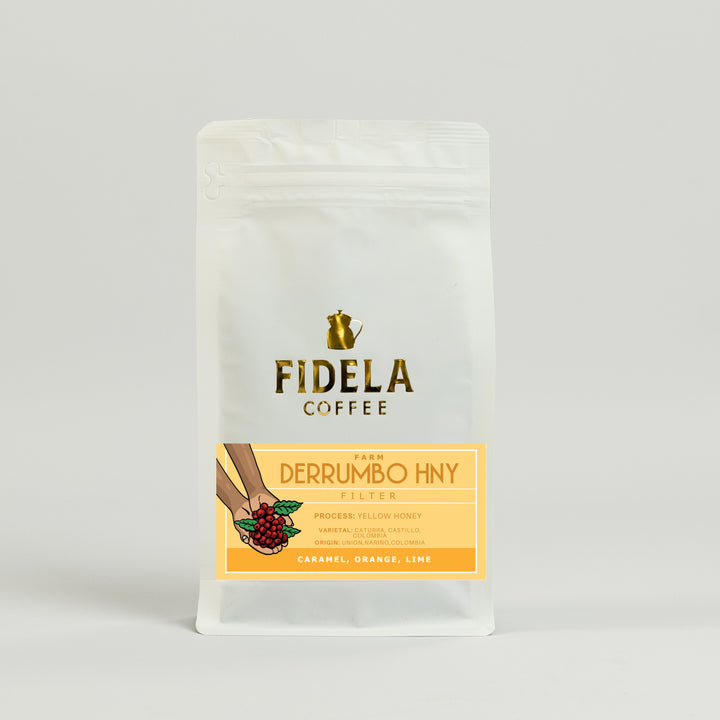 Fidela Explore